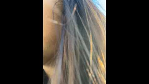 xixi_gala @ stripchat on 20241113