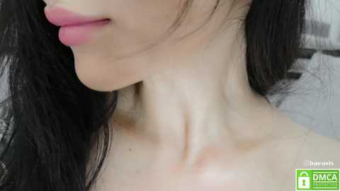 baeasian @ stripchat on 20241114