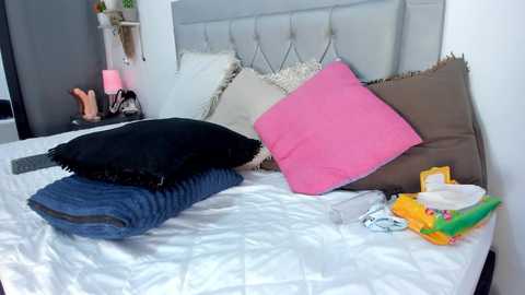 idaly_johnson @ stripchat on 20241114