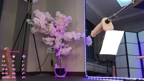 marry_cordy @ stripchat on 20241114