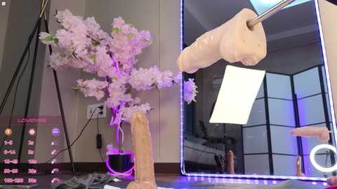 marry_cordy @ stripchat on 20241114