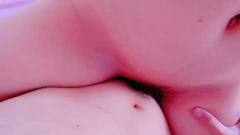 nonchan_ @ stripchat on 20241114
