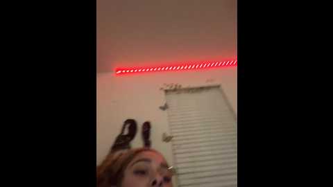 rennibear