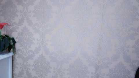 smile_love520 @ stripchat on 20241114