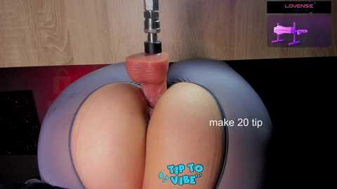 cameltoe_squirt_inpants @ stripchat on 20241115