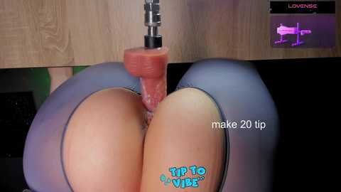 cameltoe_squirt_inpants @ stripchat on 20241115