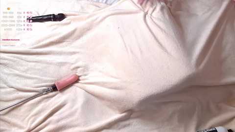 crystalisa @ stripchat on 20241115