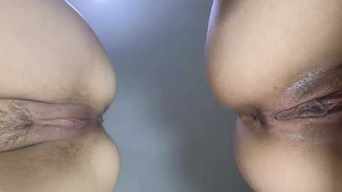 miyamoto_marina @ stripchat on 20241115