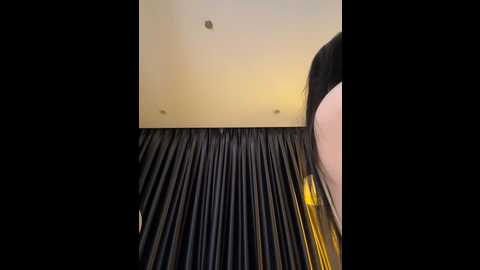 nacy_moonlight @ stripchat on 20241115