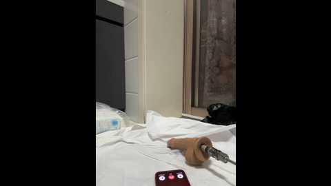 tingting66 @ stripchat on 20241115