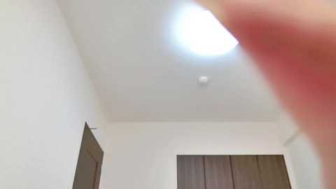 _shinon_ @ stripchat on 20241116