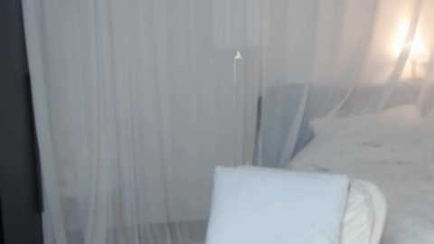 ava_11 @ stripchat on 20241116