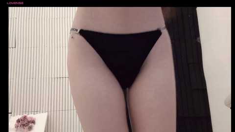 cat_baby69 @ stripchat on 20241116