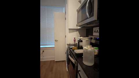 hollytattoo @ stripchat on 20241116