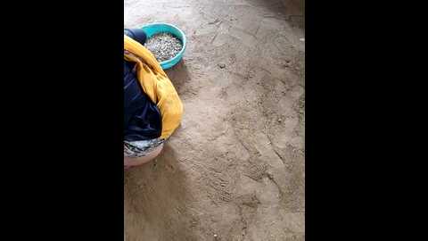 indiankanak @ stripchat on 20241116