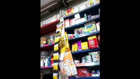 indira_nahali1 @ stripchat on 20241116