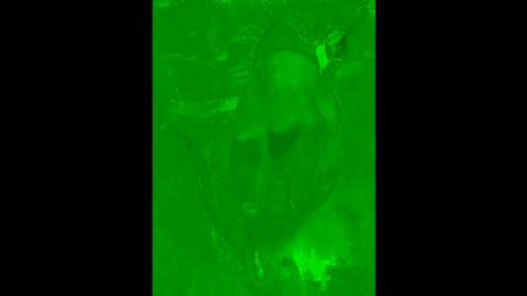 maddy_rouse_ @ stripchat on 20241116