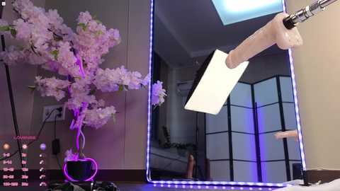 marry_cordy @ stripchat on 20241116