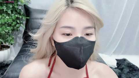 mya_lee @ stripchat on 20241116