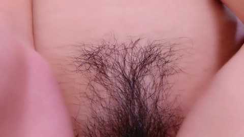 ria_pipi @ stripchat on 20241116