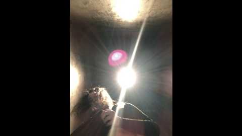 unamiumiu @ stripchat on 20241116