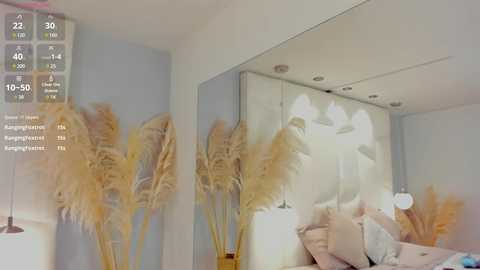 zoeconnorrs @ stripchat on 20241116