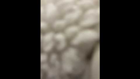 _angelari_ @ stripchat on 20241117