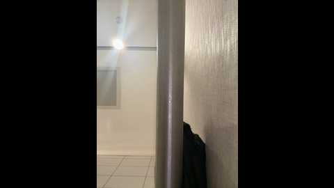 belle___ @ stripchat on 20241117