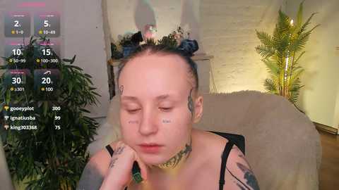 bennymurrh_ @ stripchat on 20241117
