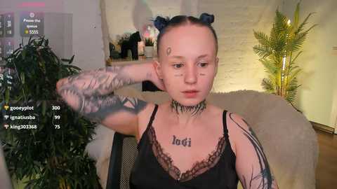 bennymurrh_ @ stripchat on 20241117