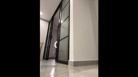 brunettexio @ stripchat on 20241117