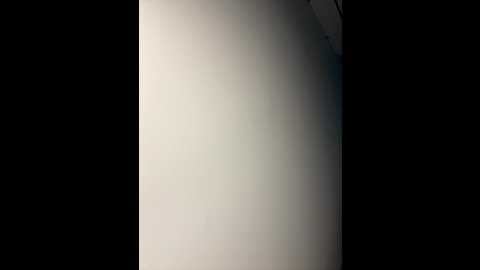 brunettexio @ stripchat on 20241117