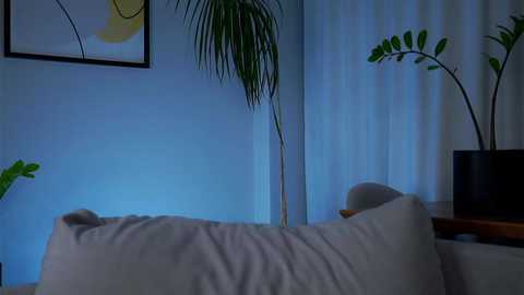 edlinhargus @ stripchat on 20241117