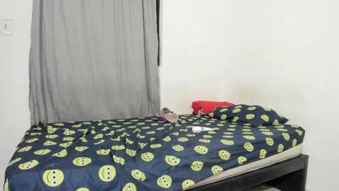 hippiro_ @ stripchat on 20241117