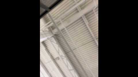 holly_molii @ stripchat on 20241117