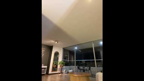 irish_collins @ stripchat on 20241117
