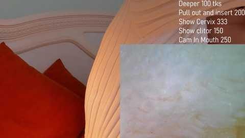 jannemary @ stripchat on 20241117