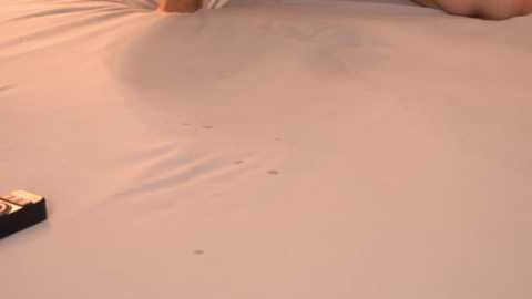 juice_pussy @ stripchat on 20241117