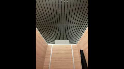 lexy__foxy @ stripchat on 20241117