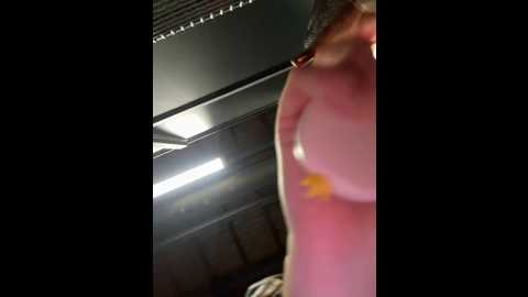 miia_lynn @ stripchat on 20241117