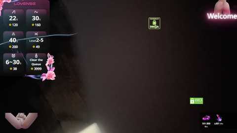 oo_kaixin_oo @ stripchat on 20241117