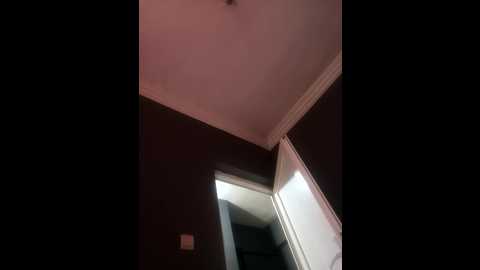 riley_blayke @ stripchat on 20241117