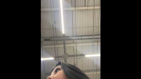 tisha_busty @ stripchat on 20241117
