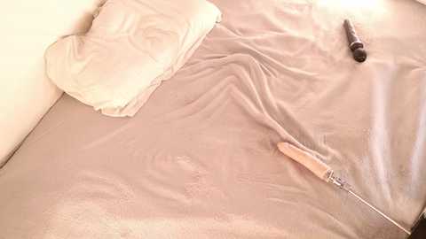 violett_queenn @ stripchat on 20241117