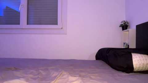 blaackcat @ stripchat on 20241118