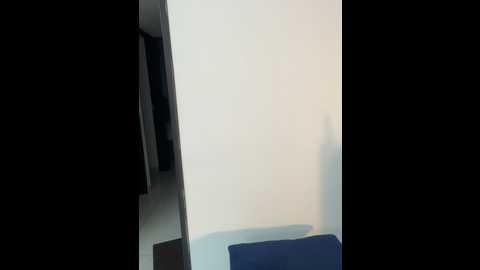 brendacrean @ stripchat on 20241118