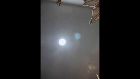 carolina__star @ stripchat on 20241118