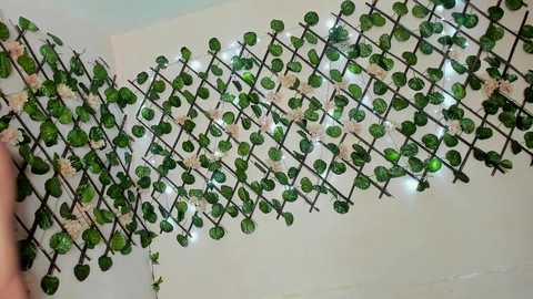 extreme_dirty_paradise @ stripchat on 20241118