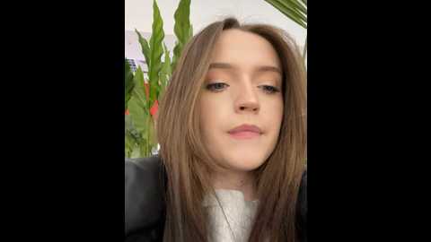 jessi_meow @ stripchat on 20241118