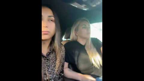 keep_us_wild @ stripchat on 20241118